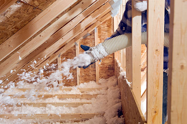 Best Basement Insulation in Goulds, FL